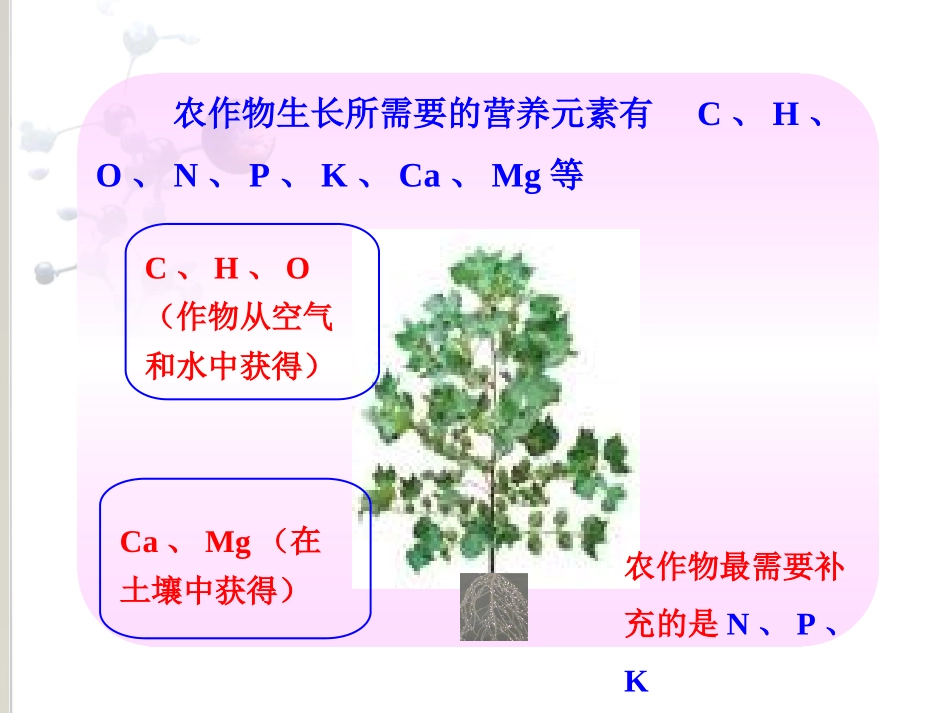 化学肥料PPT_第2页