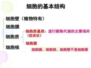（修改）细胞器——系统内的分工合作(第一)