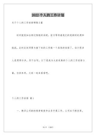 2024个人的工作计划_29