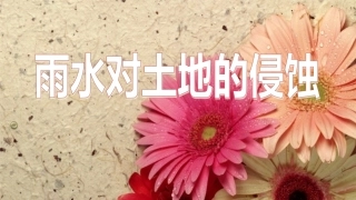 雨水对土地的侵蚀PPT五上