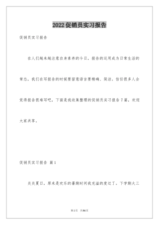 2024促销员实习报告_3