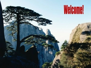 2014届《政治生活》复习（二）