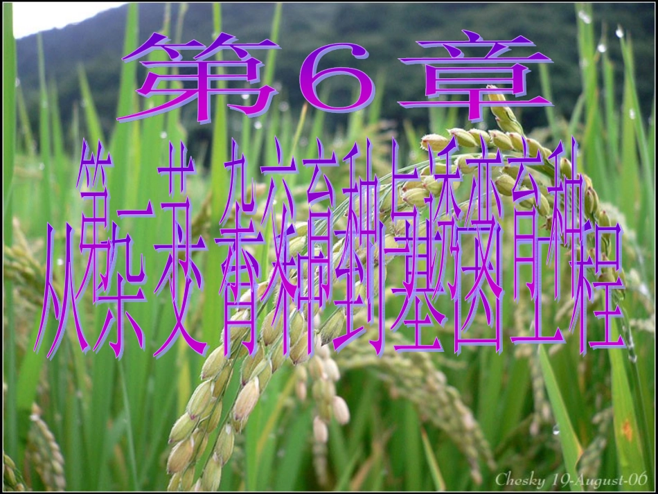 杂交育种与诱变育种_第1页