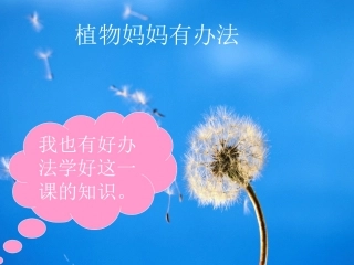 植物妈妈有办法
