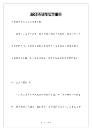 2024会计生实习报告_4