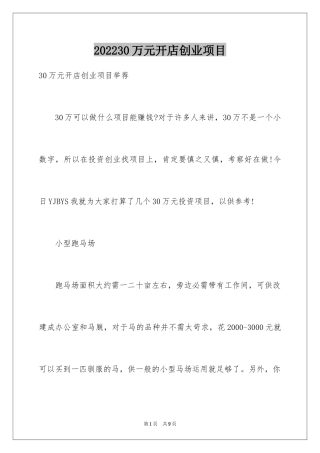 202430万元开店创业项目