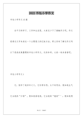 2024书包小学作文_7