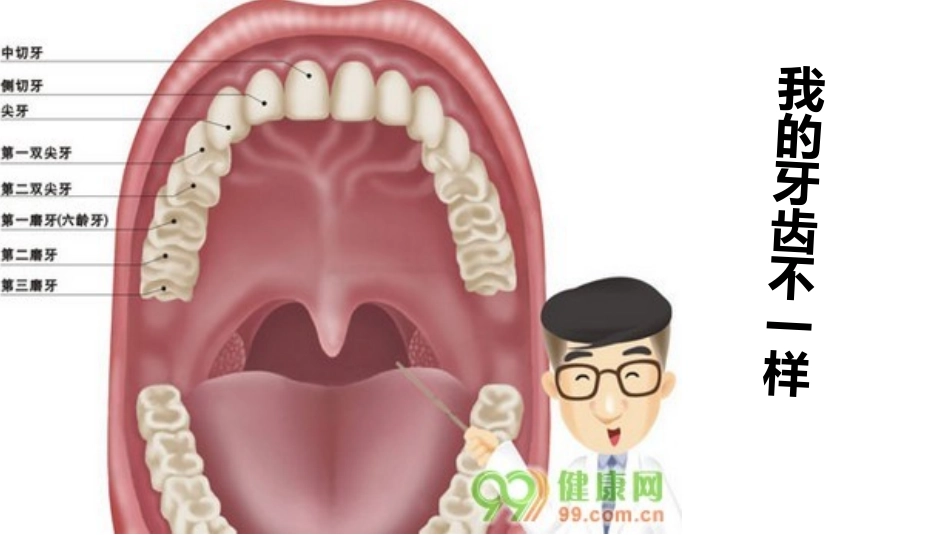 《我爱刷牙》莫旗民族幼儿园王伟_第2页