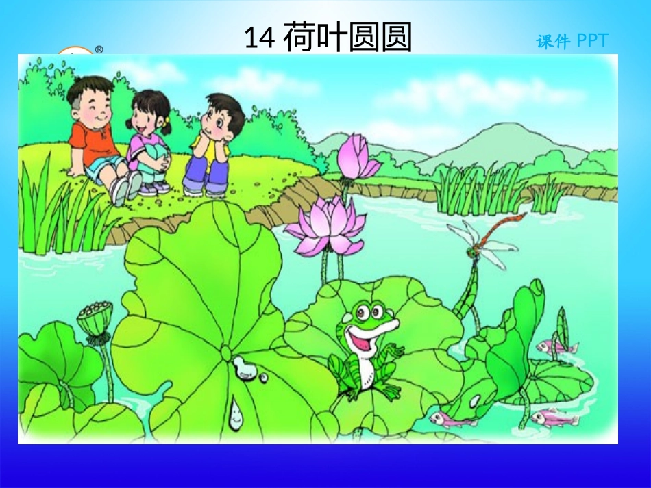 荷叶圆圆课件_第1页