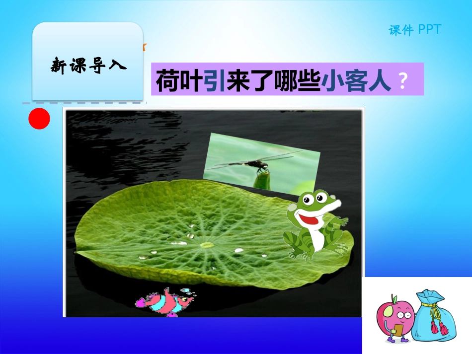 荷叶圆圆课件_第2页