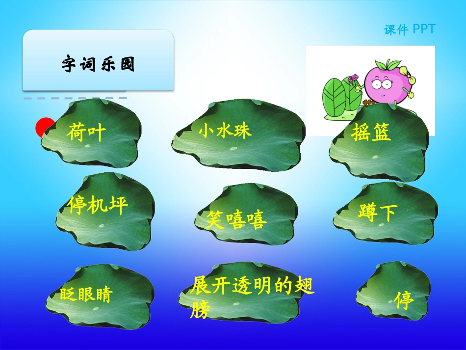 荷叶圆圆课件_第3页