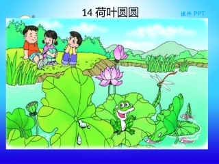 荷叶圆圆课件