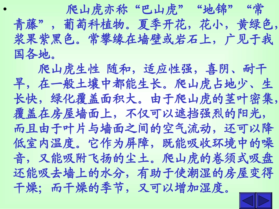 爬山虎的脚课件_第2页