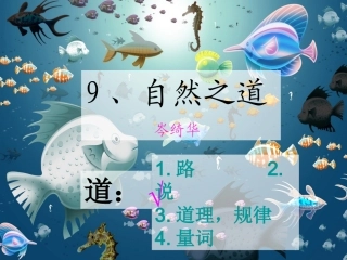 精读课《自然之道》