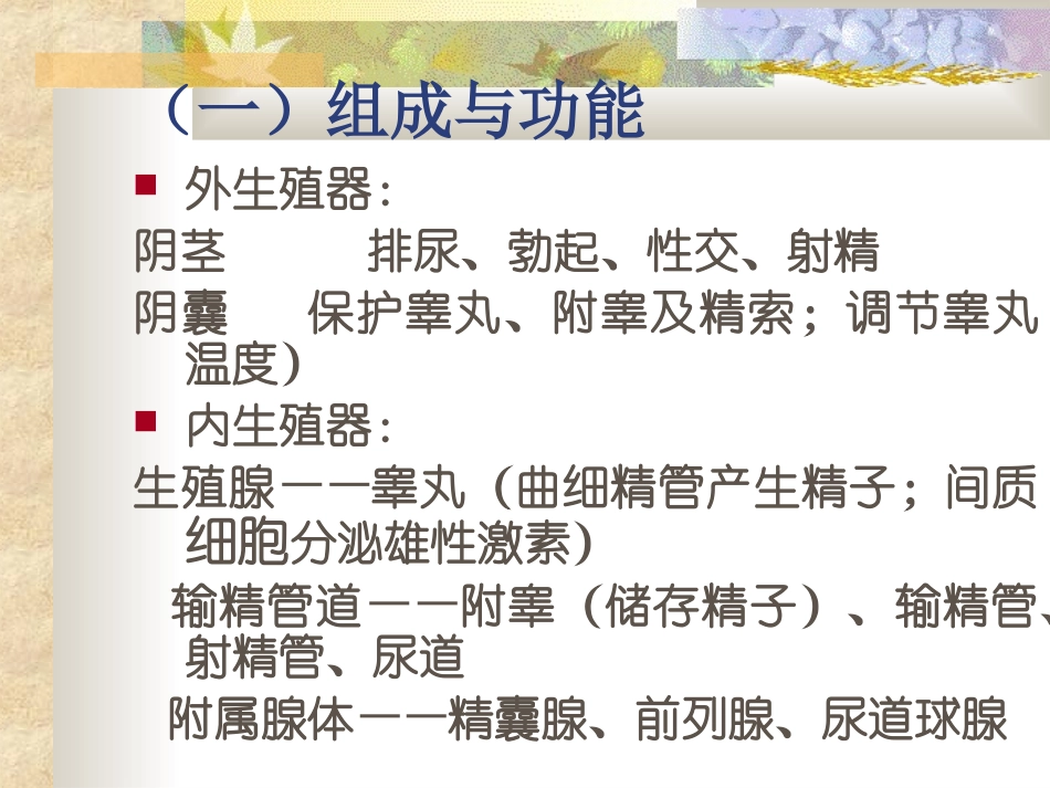 性器官及其保健_第2页