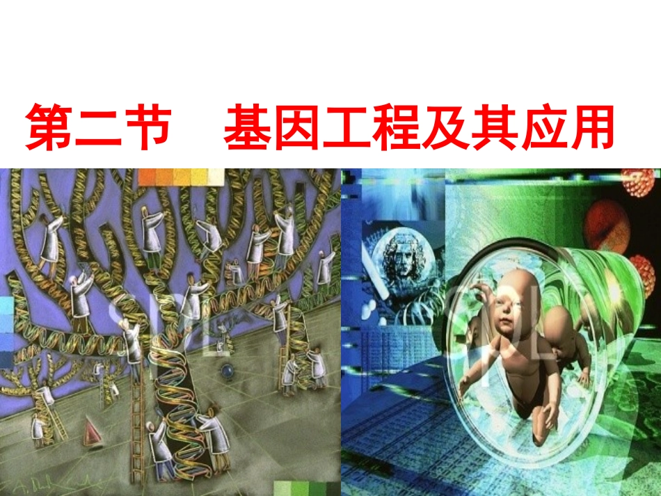 基因工程课件_第1页