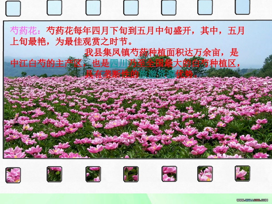 第二单元微课：行业发展动向与职业生涯发展_第3页