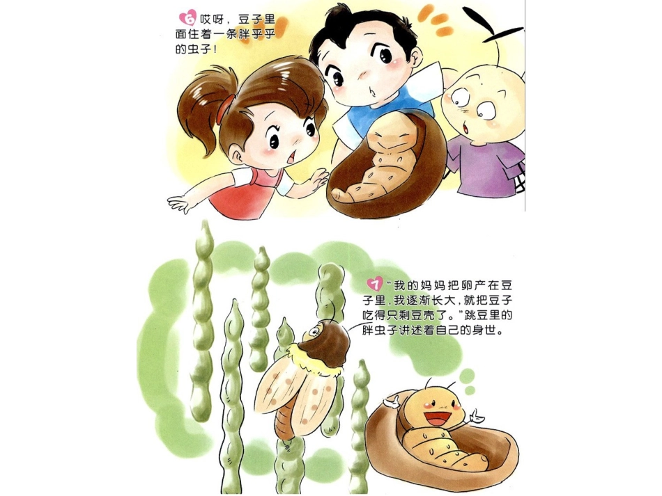 蹦蹦跳跳的跳豆绘本阅读_第3页
