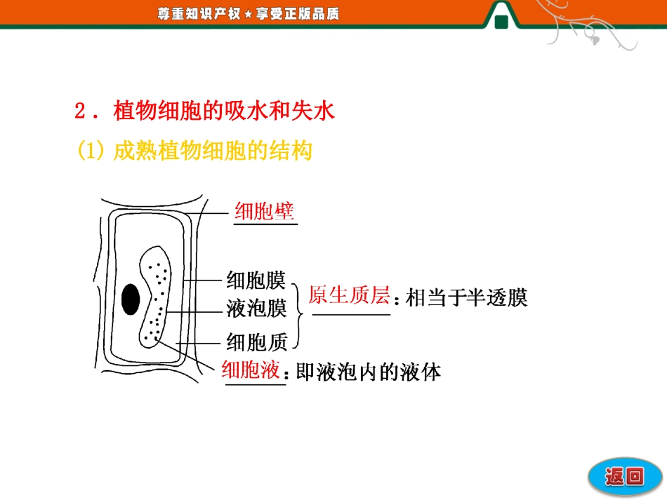 物质跨膜运输的实例_第3页