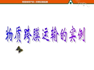 物质跨膜运输的实例