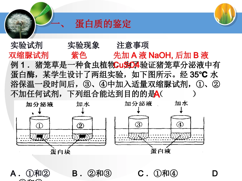 蛋白质专题复习(整理优秀课件)_第3页