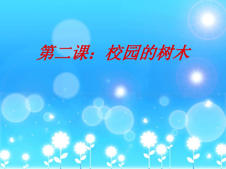 校园的树木PPT三上_第1页