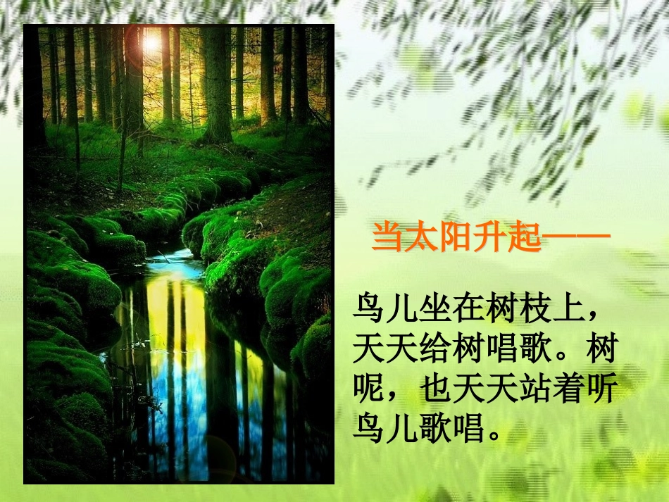 四年级上语文课件-去年的树-人教新课标_第3页