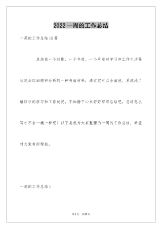 2024一周的工作总结_7