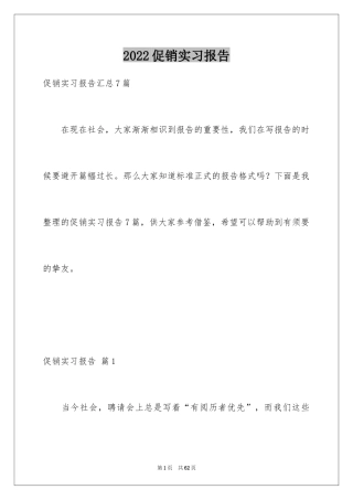 2024促销实习报告_1