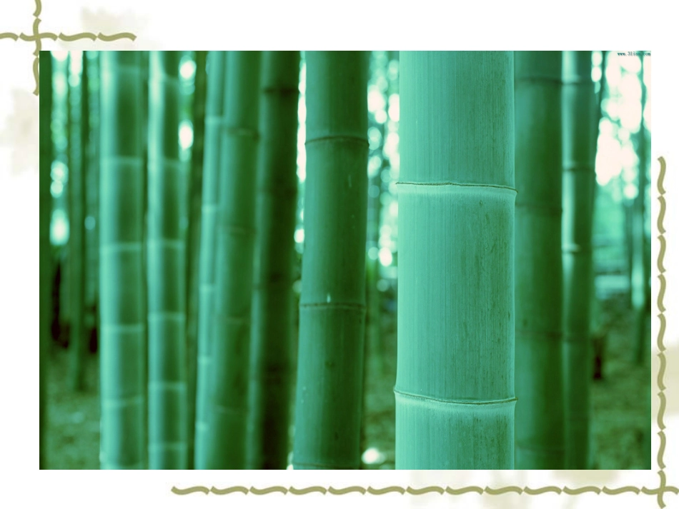 青青竹子会唱歌_第3页