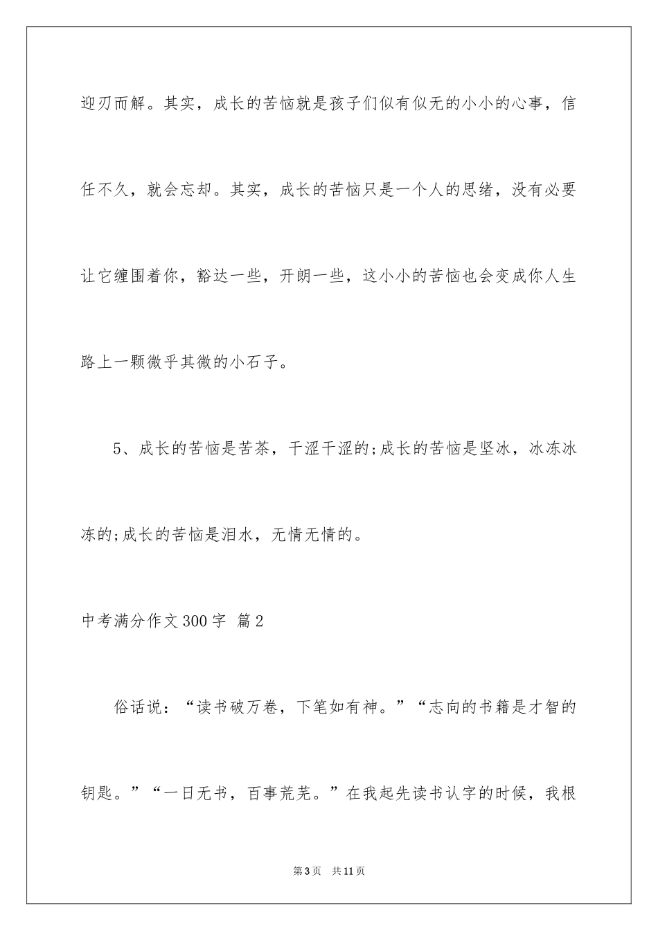 2024中考满分作文300字_44_第3页