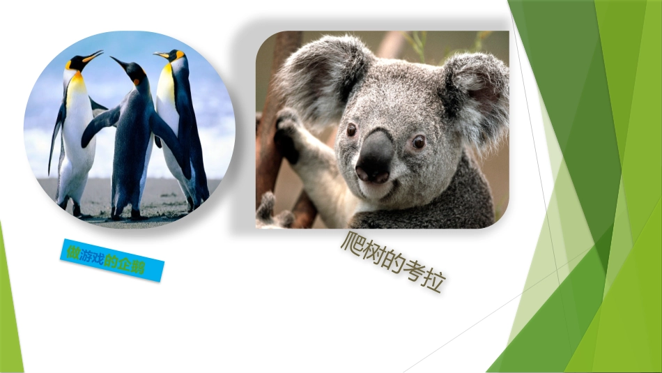 美丽自然课件_第2页