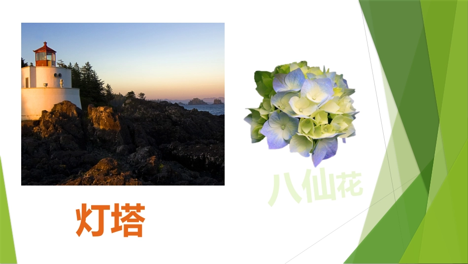 美丽自然课件_第3页