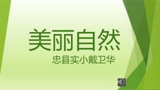 美丽自然课件