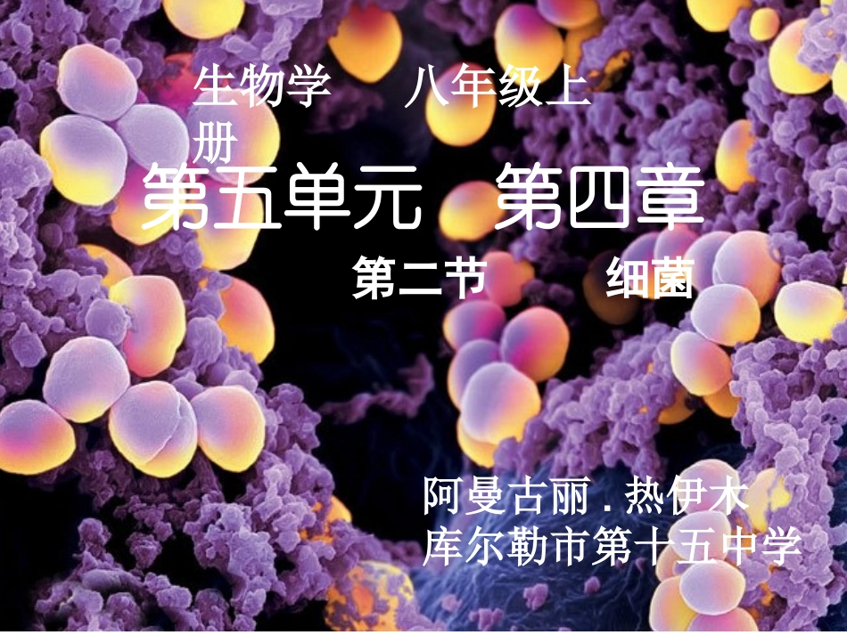 细菌111课件_第2页