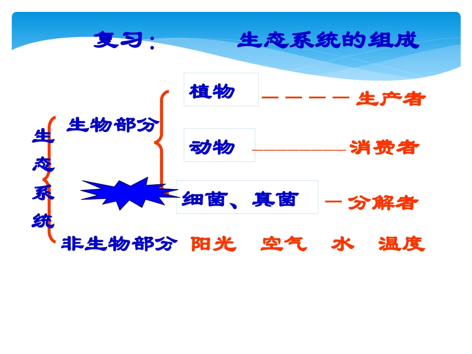 细菌111课件_第3页