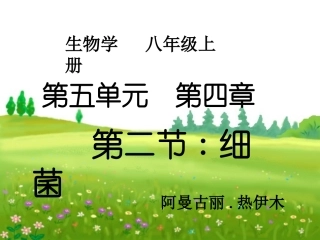 细菌111课件
