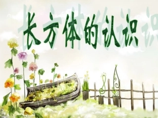 长方体的认识