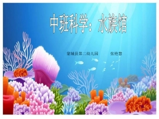 中班科学：水族馆