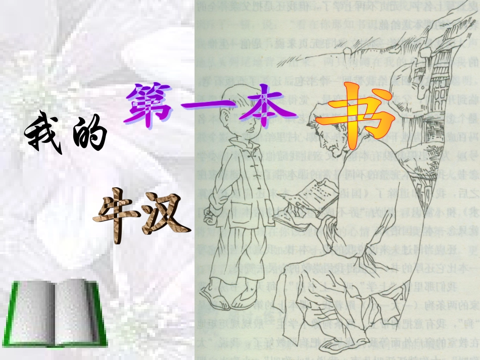 我的第一本书_课件_第2页