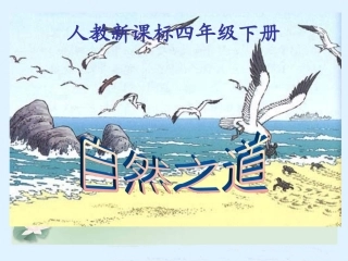 《自然之道》PPT课件