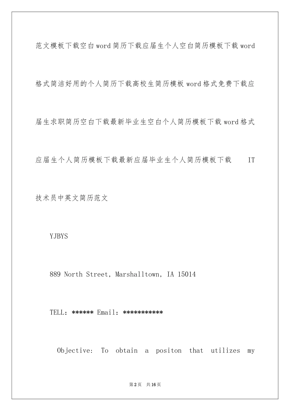 2024IT技术员中英文简历_第2页