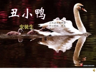 《丑小鸭》授课资料余文龙