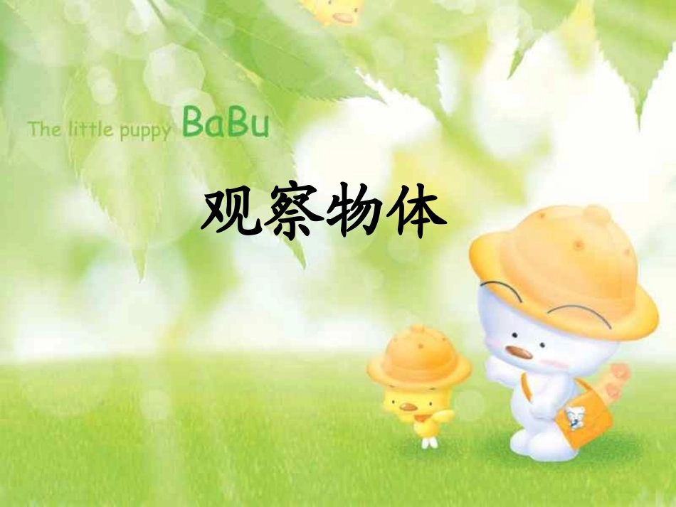 观察物体（例1）_第1页