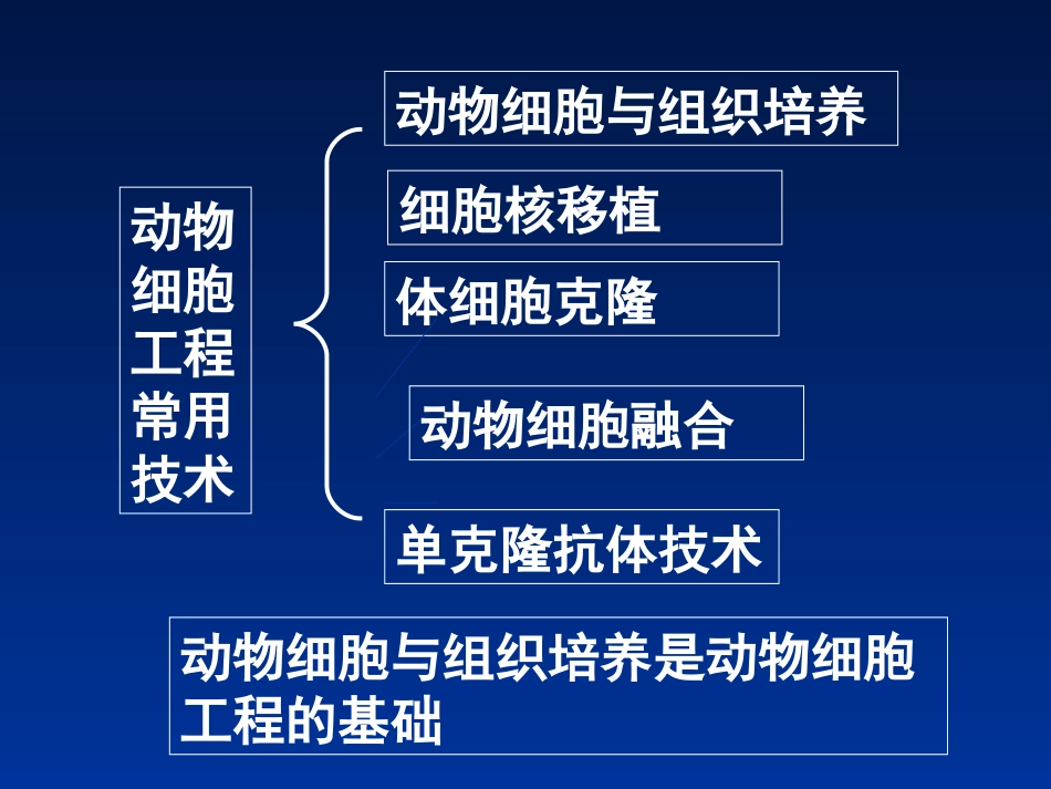 动物细胞工程复习课件_第3页