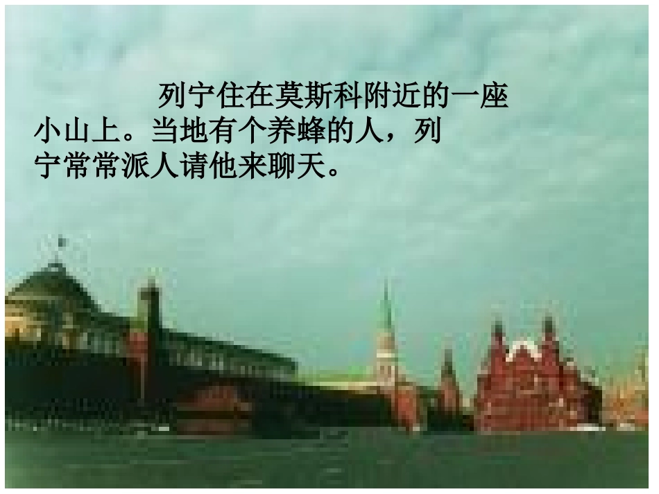 蜜蜂引路 ()_第3页