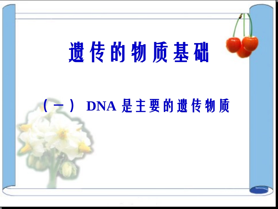 遗传的物质基础_第1页