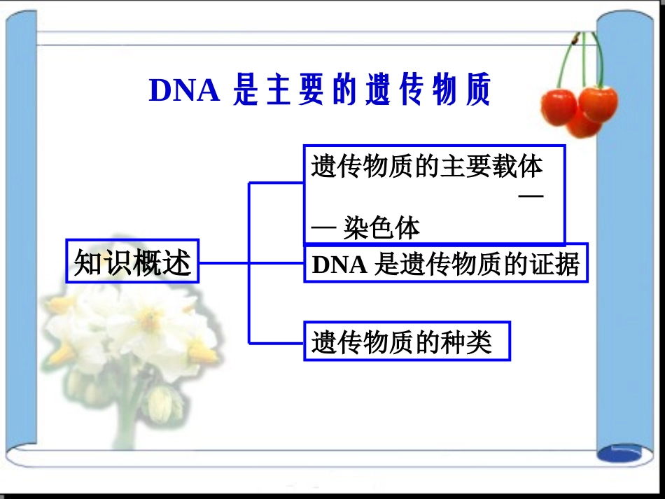 遗传的物质基础_第2页