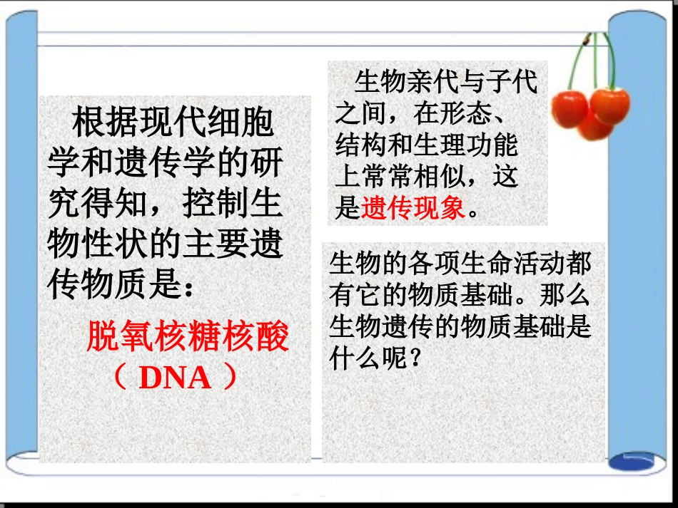 遗传的物质基础_第3页