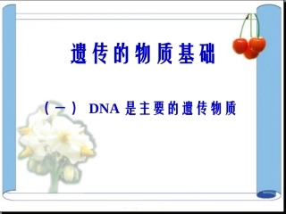 遗传的物质基础